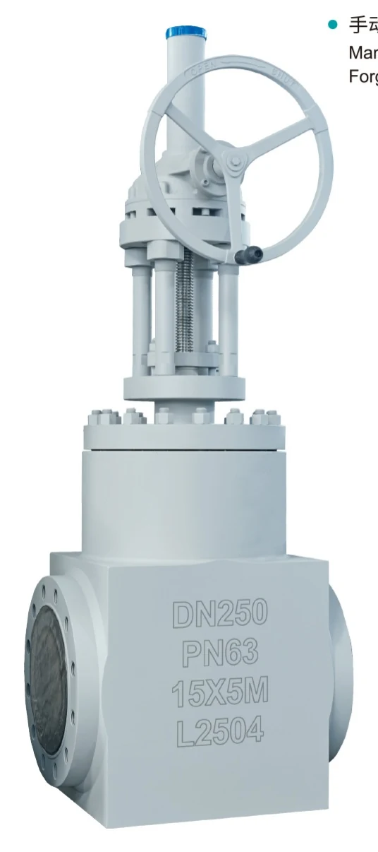 Electric High Pressure Self-Sealing Power Plant Gate Valve catalog image