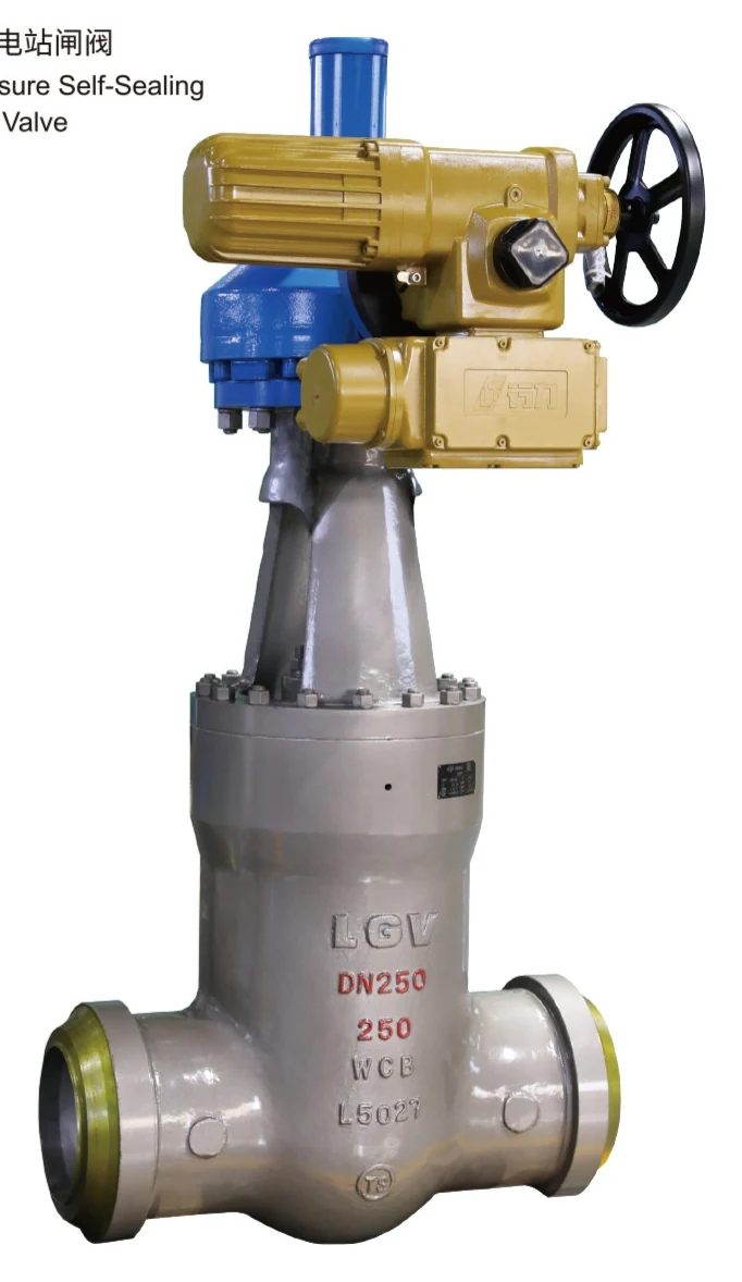 GOST Electric Forged Steel Gate Valve product image from the Lianggong catalog