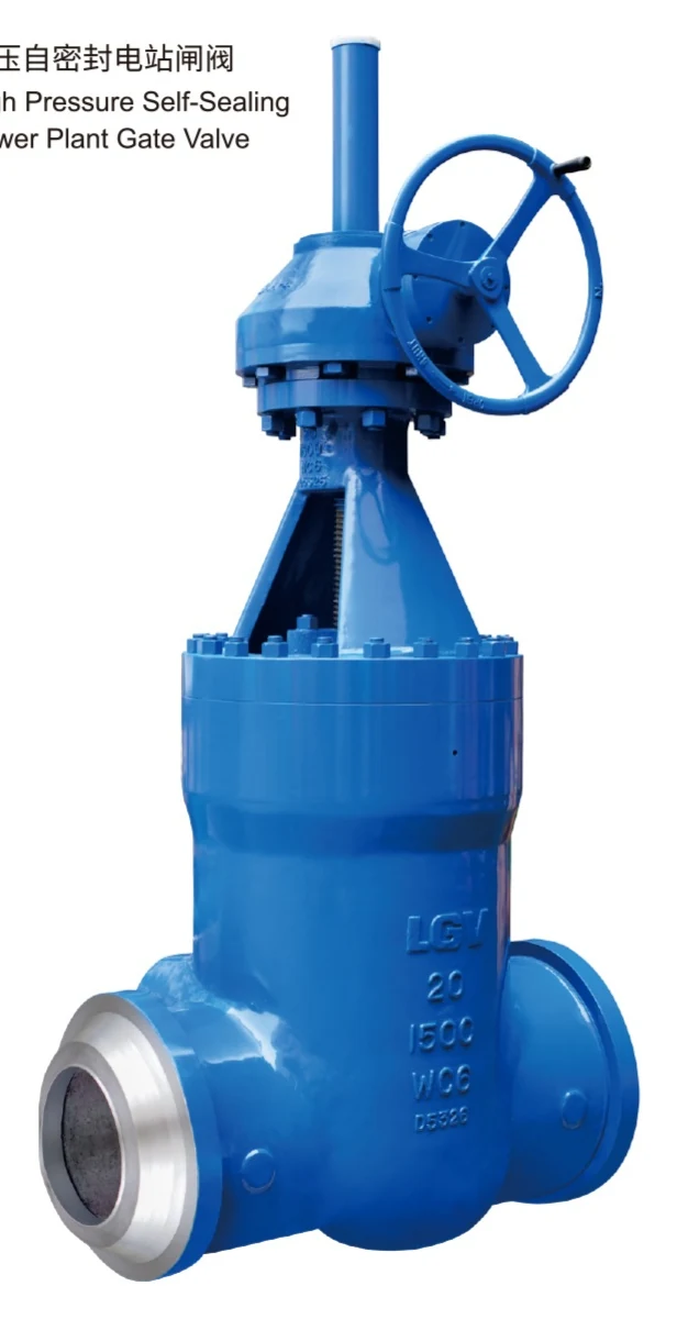 ASME Self-Sealing High Temperature and High Pressure Gate Valve catalog image
