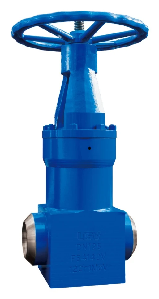 Forged Steel Power Plant Gate Valve product image from the Lianggong catalog
