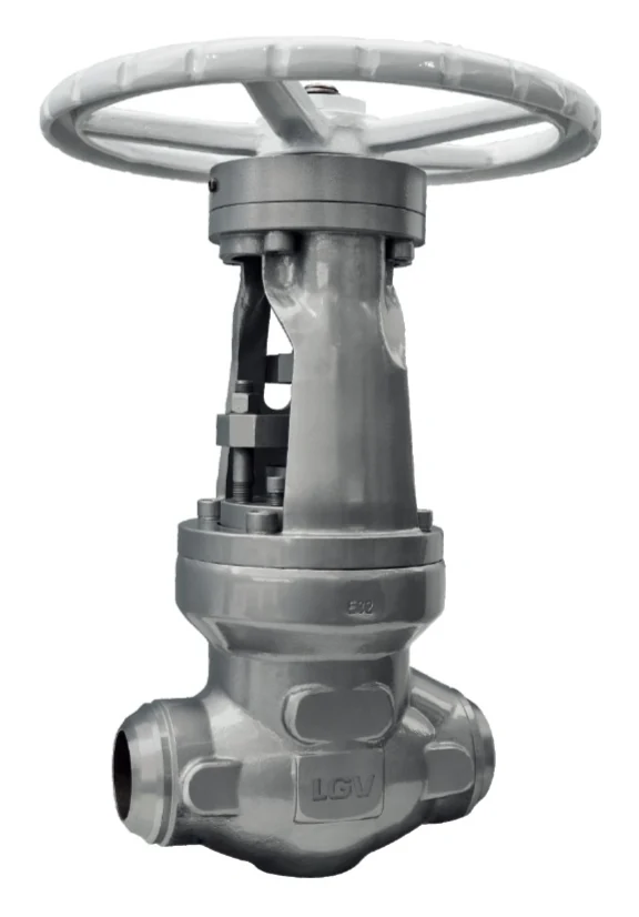 ASME High Pressure Self-Sealing Globe Valve catalog image