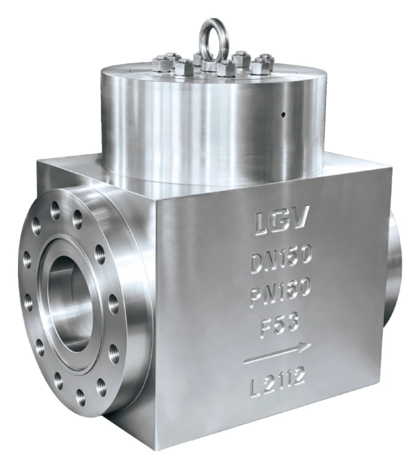 Forged Steel High Pressure Check Valve catalog image