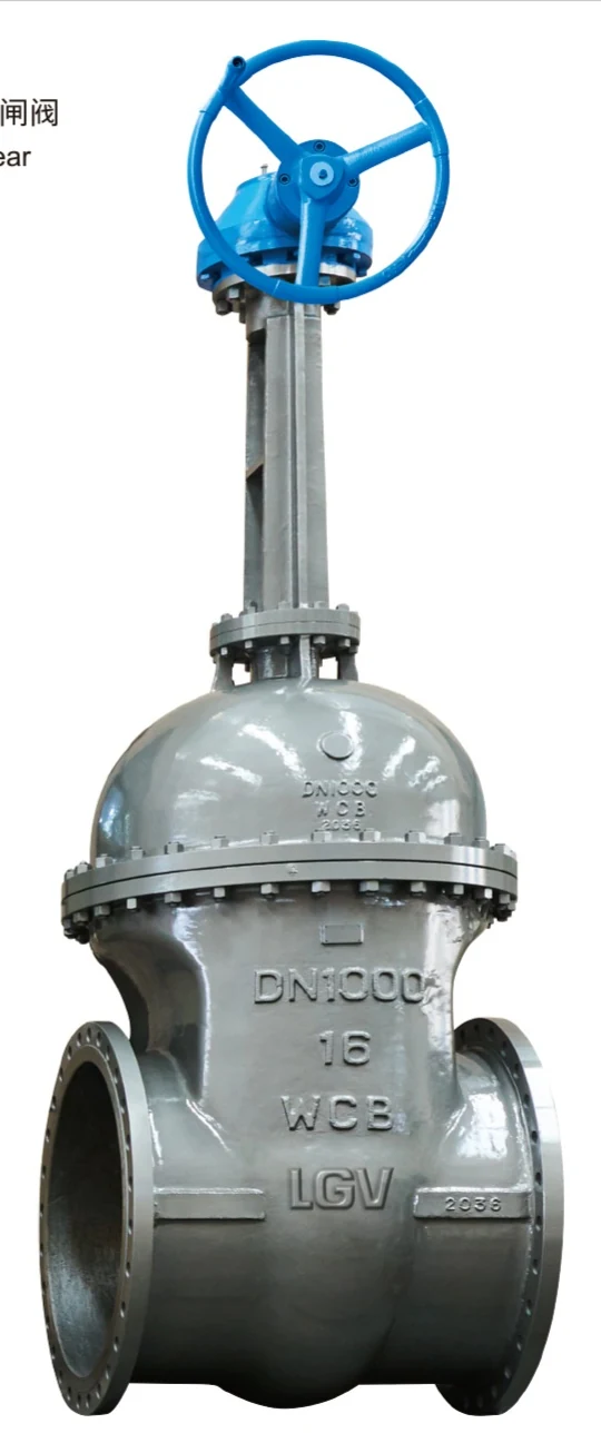 ASME Stainless Steel Gate Valve catalog image