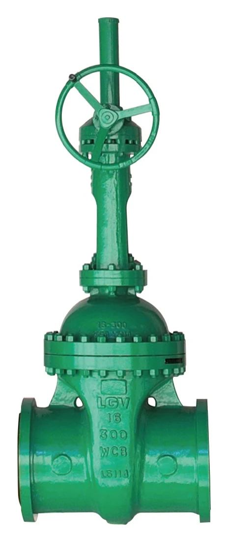 ASME Stainless Steel Cryogenic Gate Valve catalog image