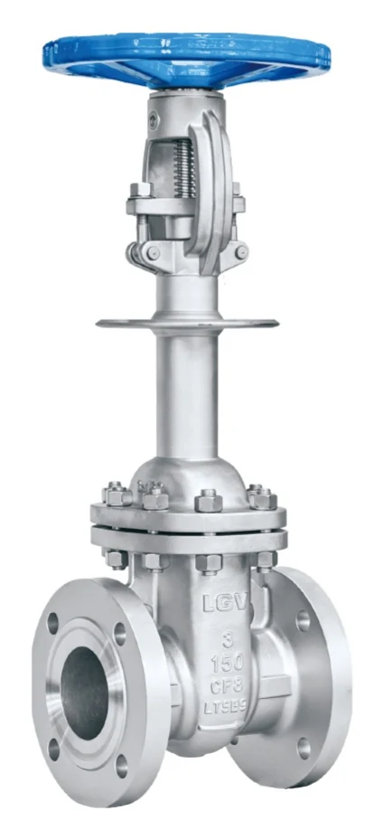 ASME Gate Valve catalog image