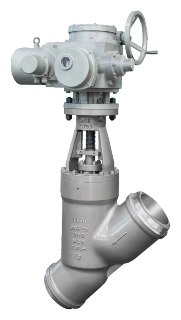 ASME Stainless Steel Globe Valve catalog image