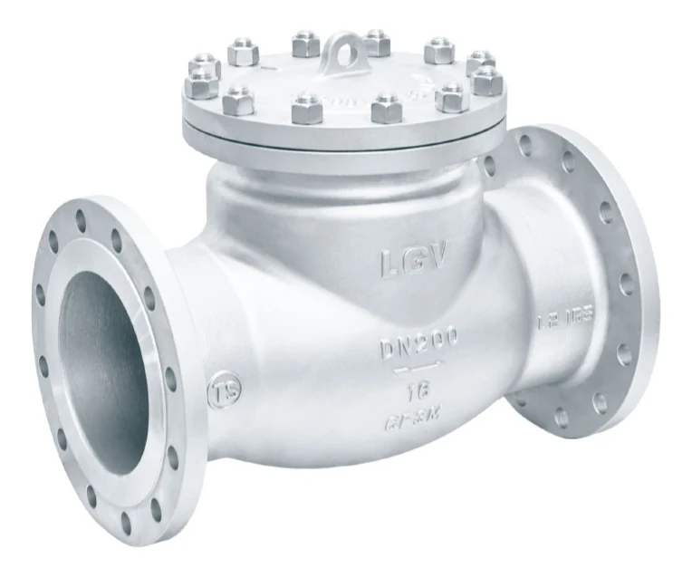 ASME Stainless Steel Check Valve catalog image