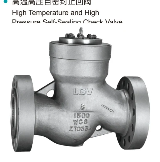 ASME Stainless Steel Check Valve product image from the Lianggong catalog
