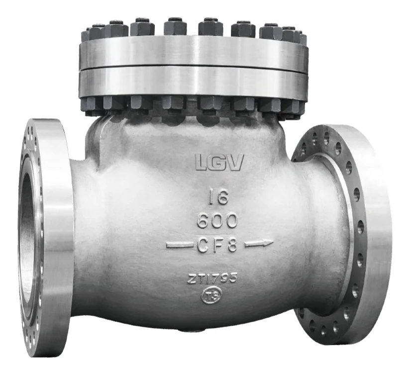Forged Steel Power Plant Check Valve catalog image