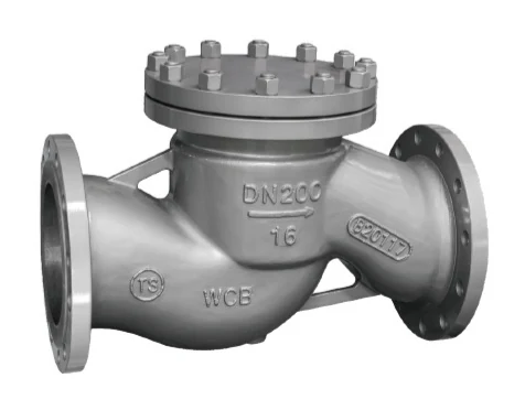ASME Stainless Steel Check Valve product image from the Lianggong catalog