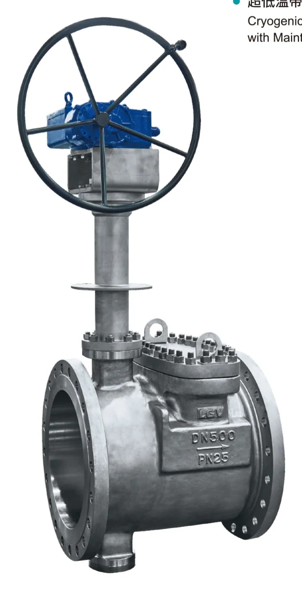 Cryogenic Butterfly Valve with Maintenance Port catalog image