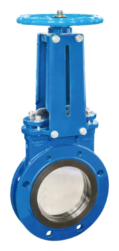 Large Diameter Knife Gate Valve catalog image