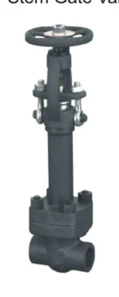 Forged steel valve from the documented catalog