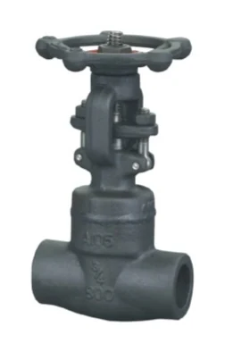 Cryogenic Extended Stem Gate Valve catalog image