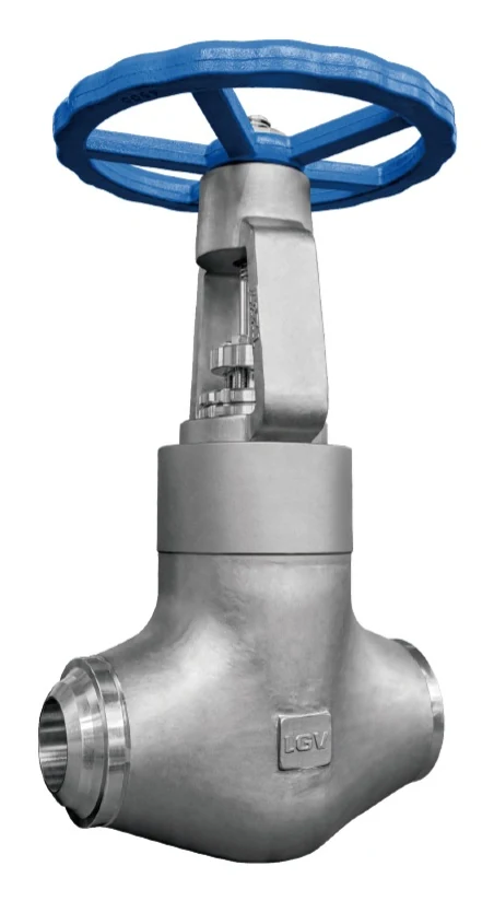 Forged Steel Cryogenic Gate Valve catalog image