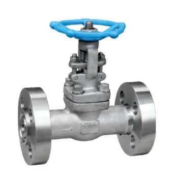 Stainless Steel High Pressure Gate Valve catalog image