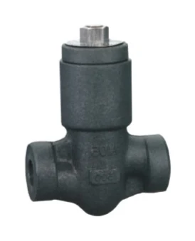 Y-Type Check Valve catalog image