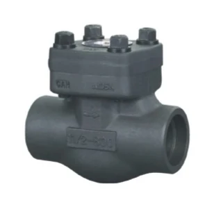 Socket Weld Globe Valve catalog image