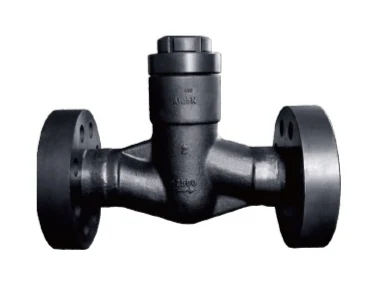 Forged Steel Flanged Check Valve catalog image