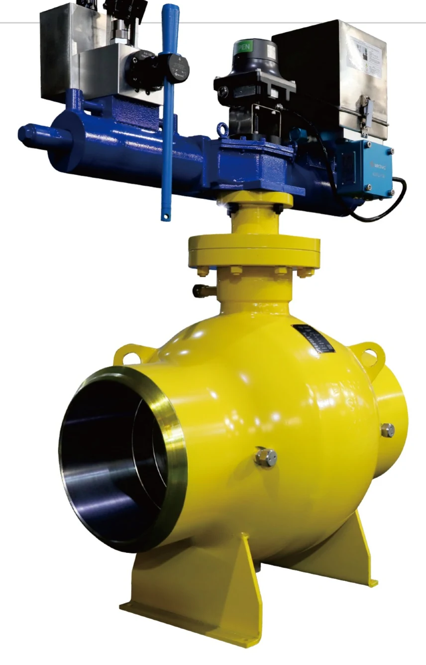 Extended fully welded valve configuration from the mapped catalog