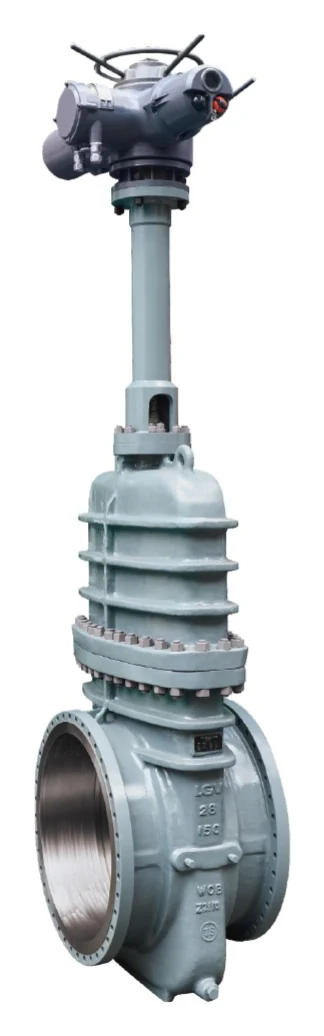 Oilfield valve catalog image for application review